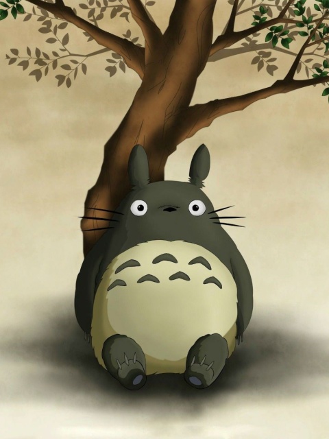 Fondo de pantalla My Neighbor Totoro Anime Film 480x640