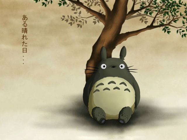 Das My Neighbor Totoro Anime Film Wallpaper 640x480