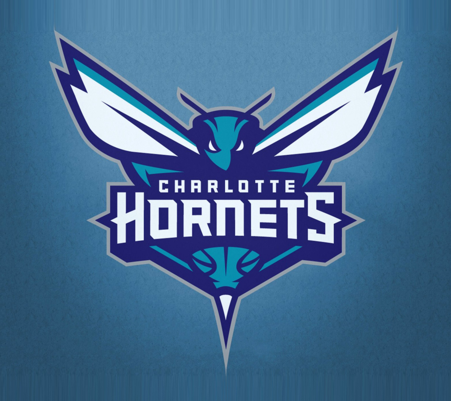Fondo de pantalla Charlotte Hornets 1440x1280