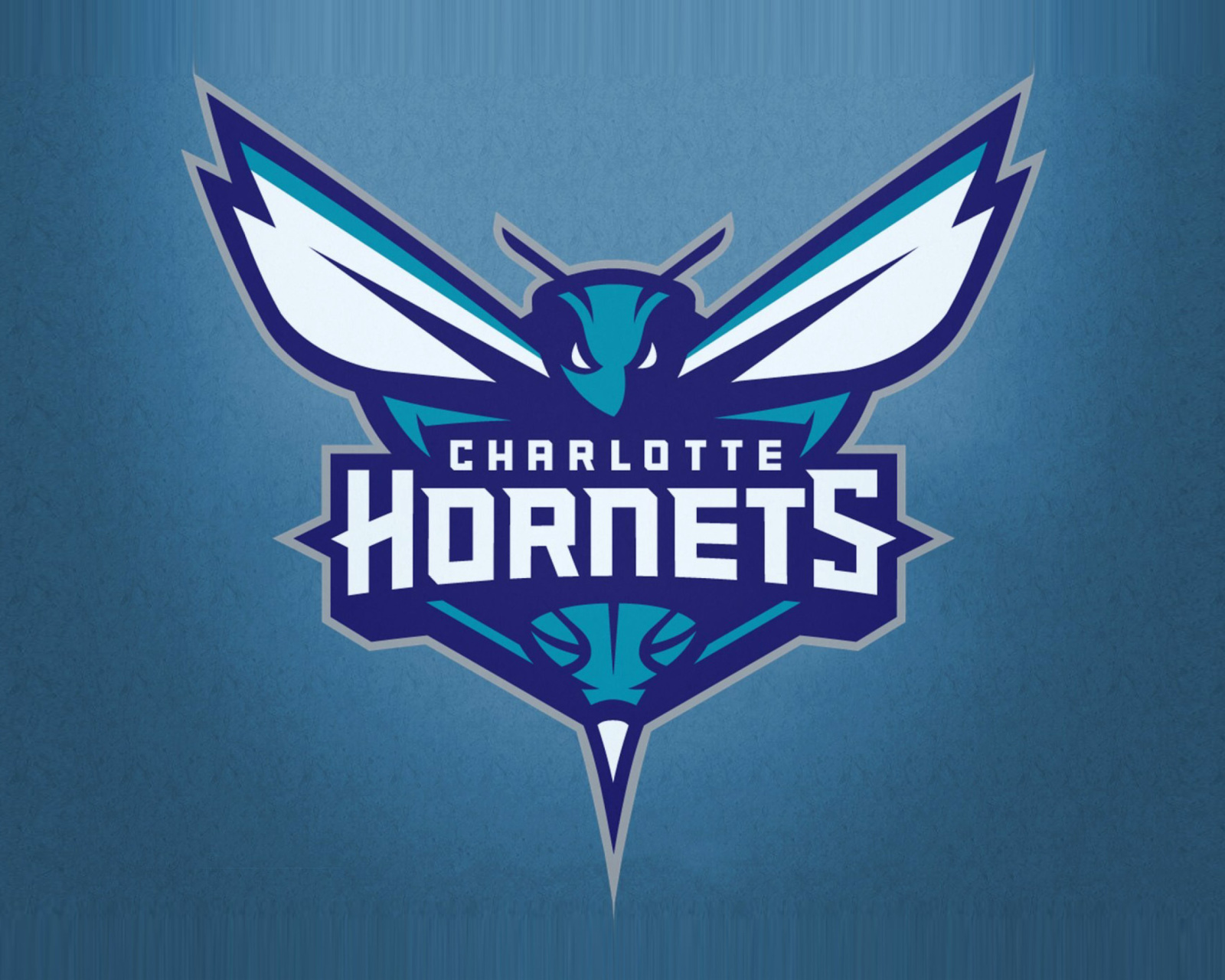 Fondo de pantalla Charlotte Hornets 1600x1280