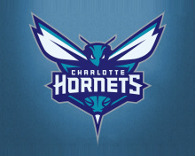 Sfondi Charlotte Hornets 220x176