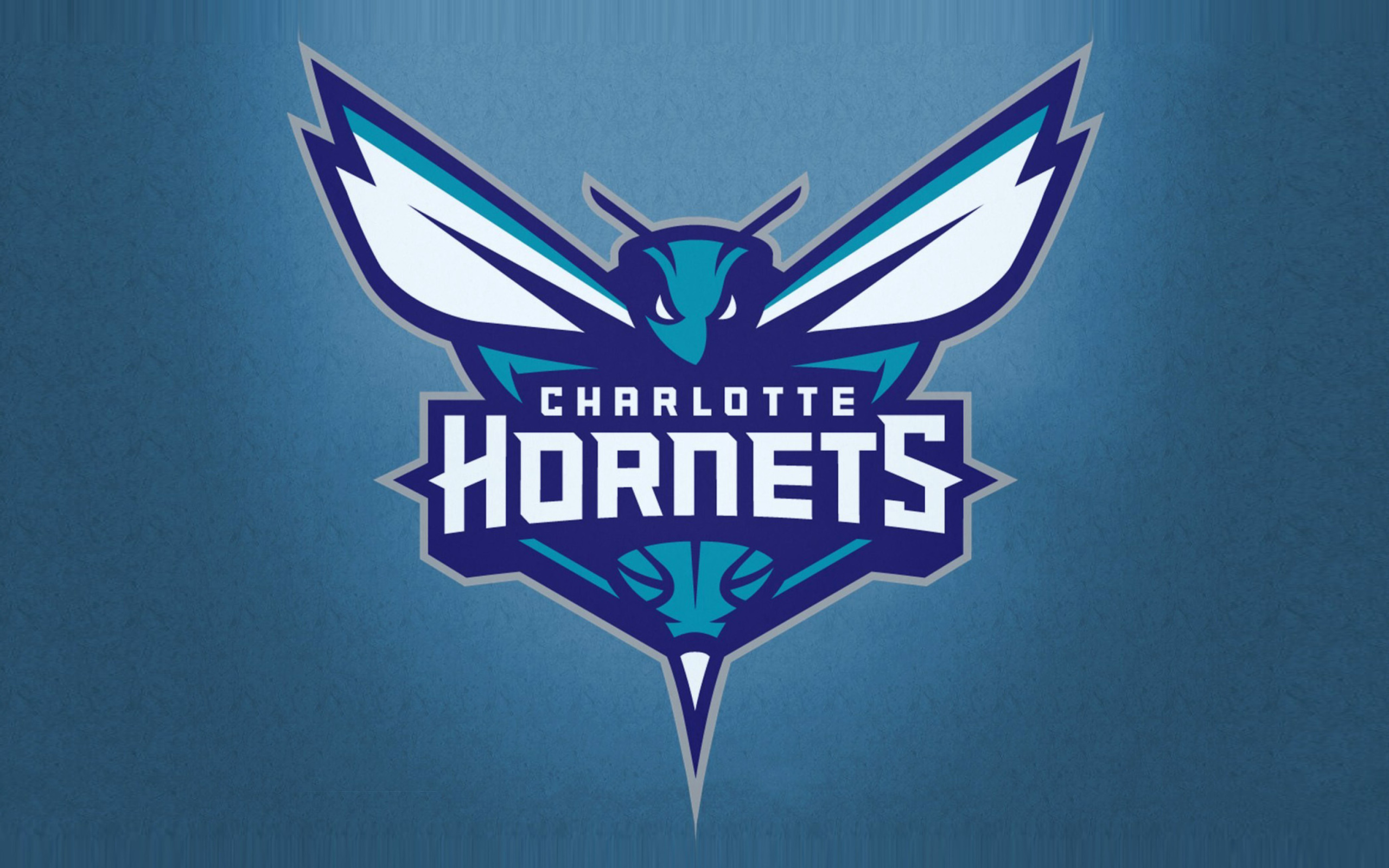 Das Charlotte Hornets Wallpaper 2560x1600