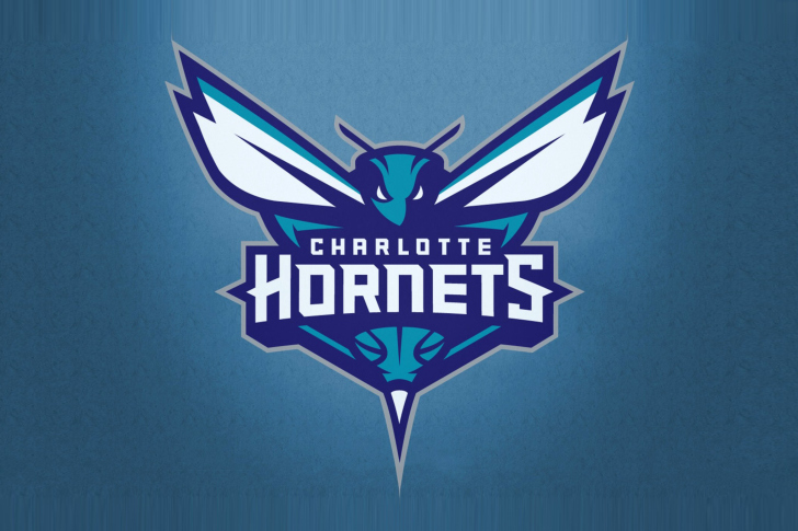 Charlotte Hornets screenshot #1