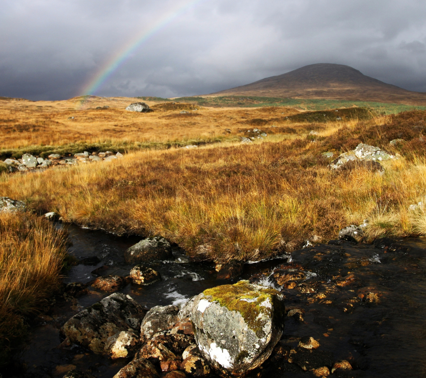 Screenshot №1 pro téma Rannoch Moor 1440x1280