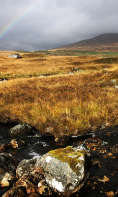 Screenshot №1 pro téma Rannoch Moor 240x400