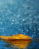 Yellow Leaf In The Rain screenshot #1 128x160