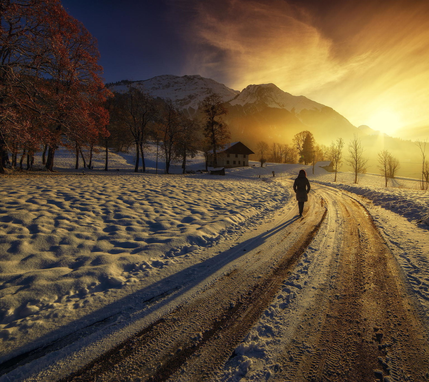 Winter Sunrise wallpaper 1440x1280