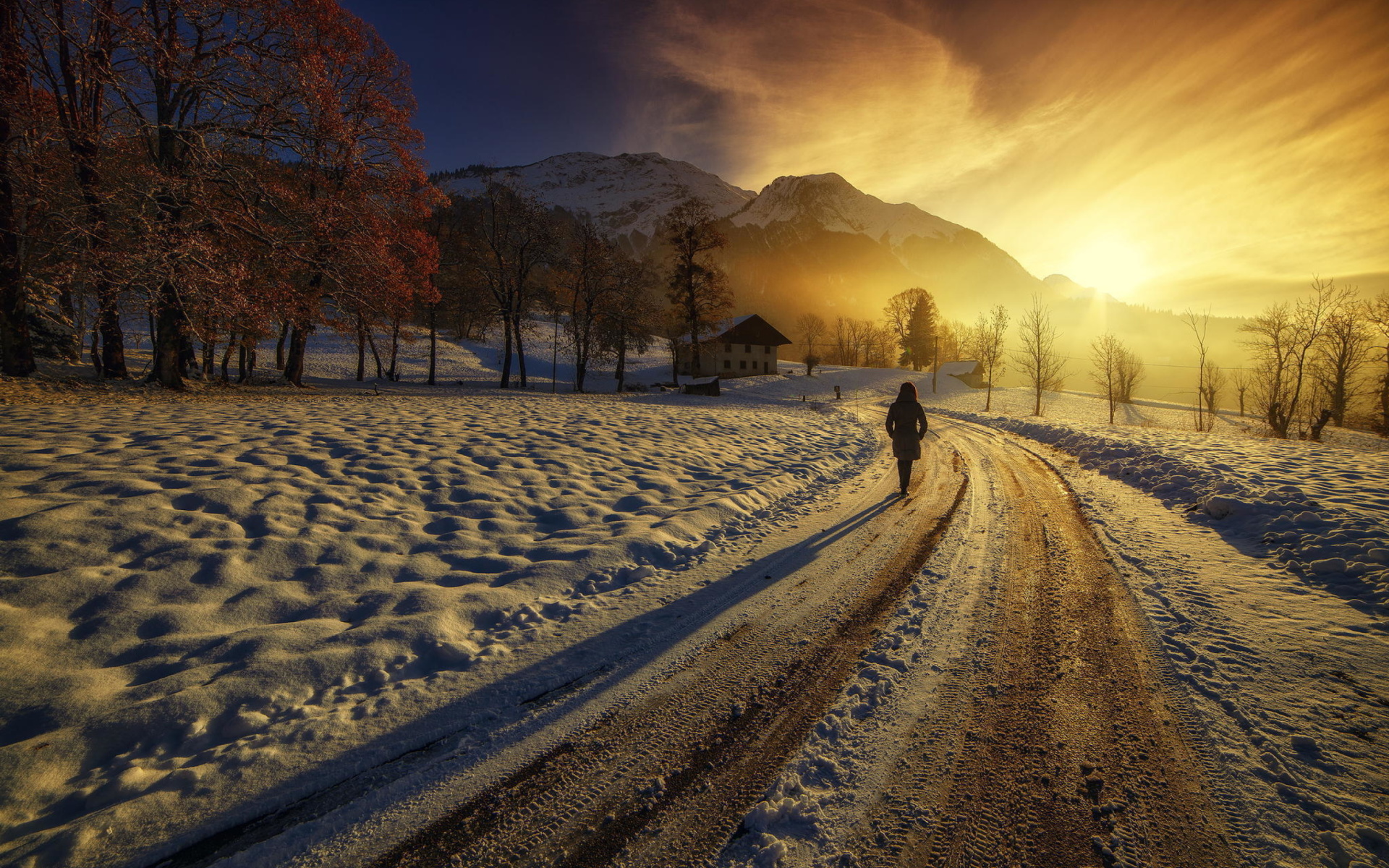 Winter Sunrise wallpaper 1920x1200