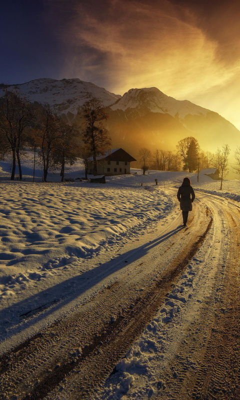 Fondo de pantalla Winter Sunrise 480x800