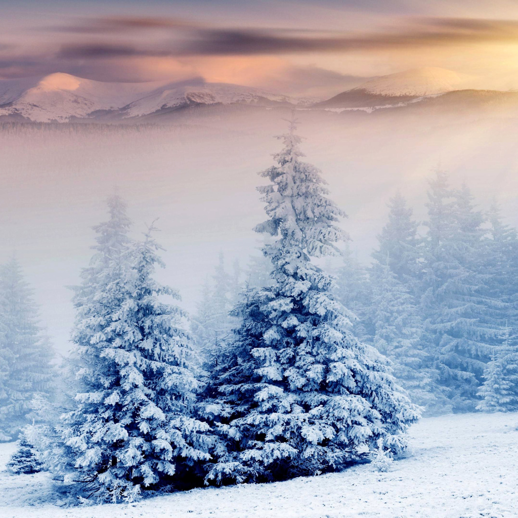 Sfondi Winter Nature in Prisma Editor 1024x1024