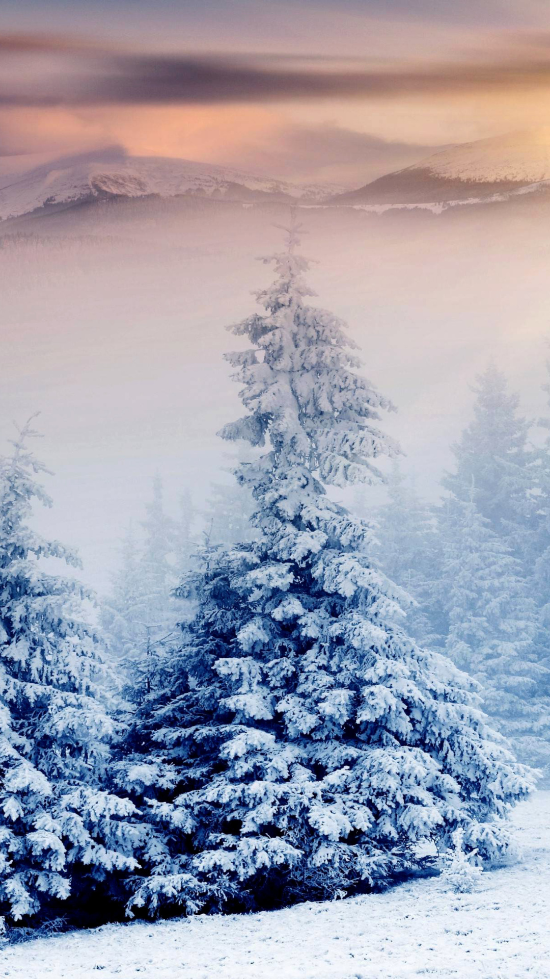 Winter Nature in Prisma Editor wallpaper 1080x1920