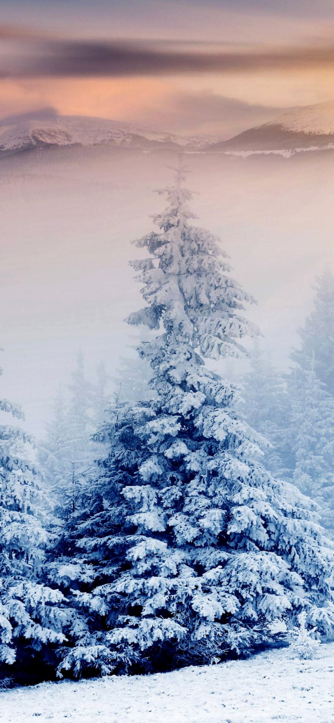 Winter Nature in Prisma Editor wallpaper 1170x2532