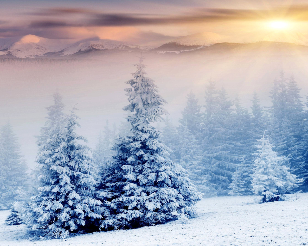 Обои Winter Nature in Prisma Editor 1280x1024