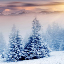 Winter Nature in Prisma Editor screenshot #1 128x128