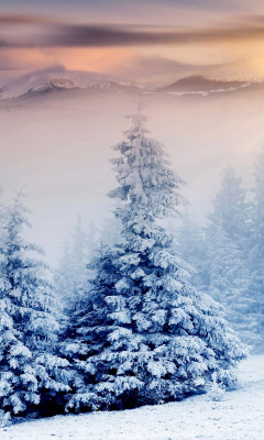 Das Winter Nature in Prisma Editor Wallpaper 240x400