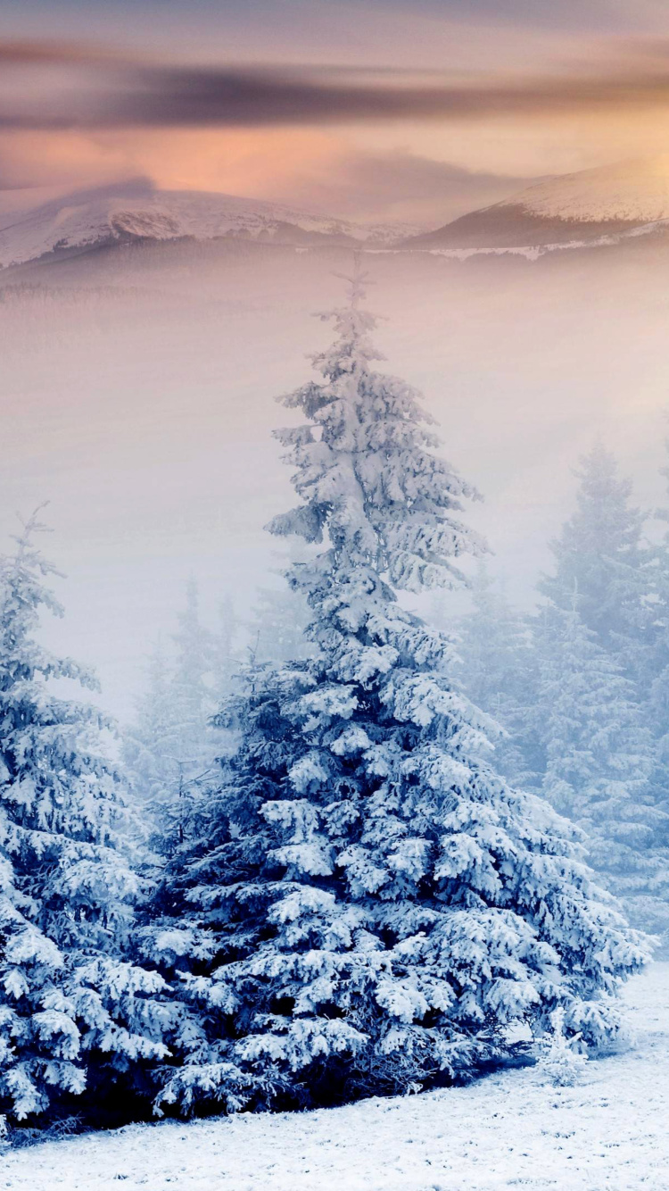 Winter Nature in Prisma Editor screenshot #1 750x1334