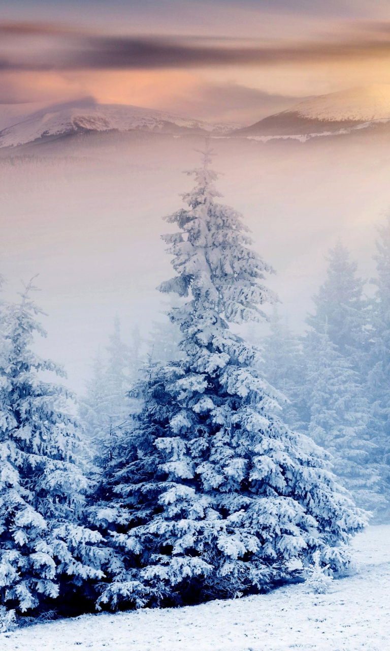 Обои Winter Nature in Prisma Editor 768x1280