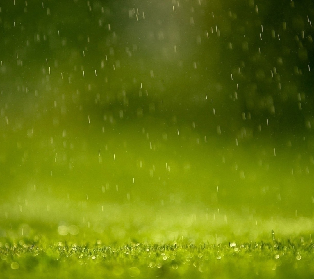 Обои Water Drops And Green Grass 1080x960