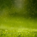 Das Water Drops And Green Grass Wallpaper 128x128