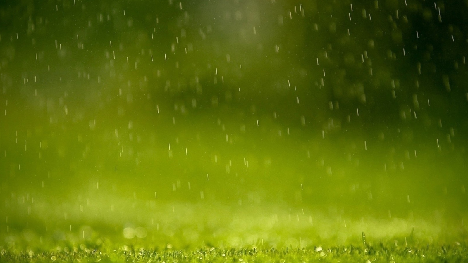 Screenshot №1 pro téma Water Drops And Green Grass 1600x900