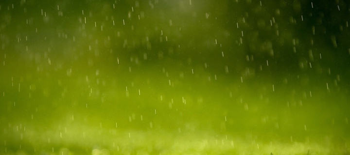 Screenshot №1 pro téma Water Drops And Green Grass 720x320