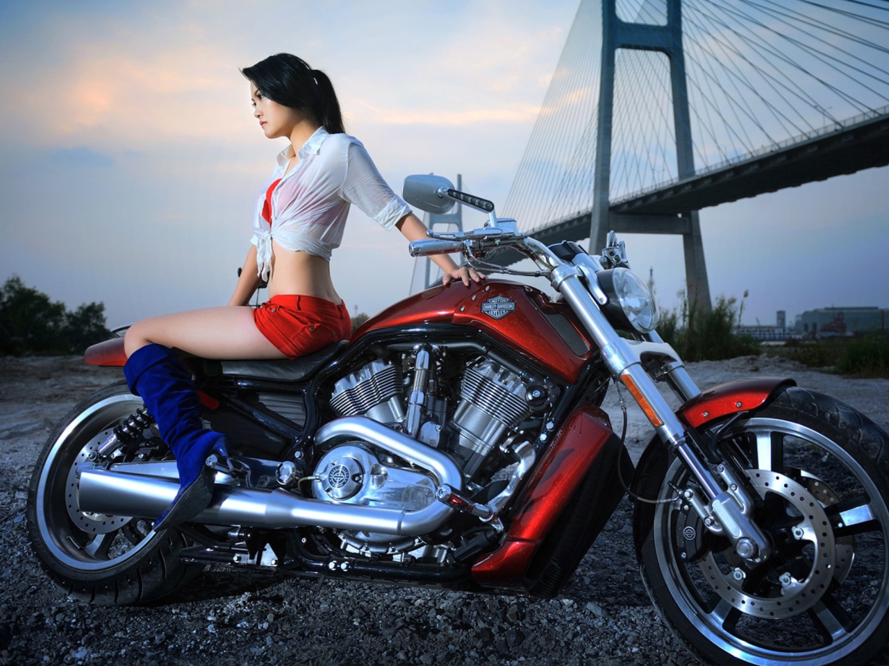 Обои Girl On Harley Davidson 1280x960