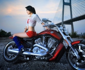 Girl On Harley Davidson wallpaper 176x144