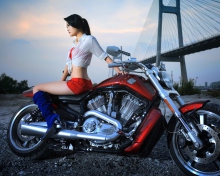 Sfondi Girl On Harley Davidson 220x176
