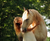 Sfondi Blonde Girl And Horse 176x144