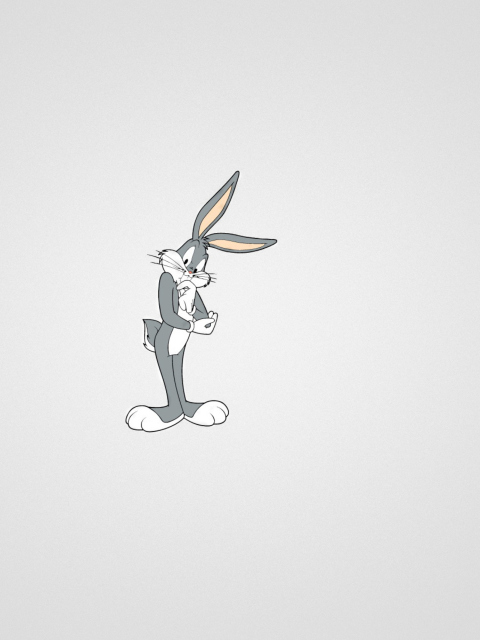 Fondo de pantalla Looney Tunes, Bugs Bunny 480x640