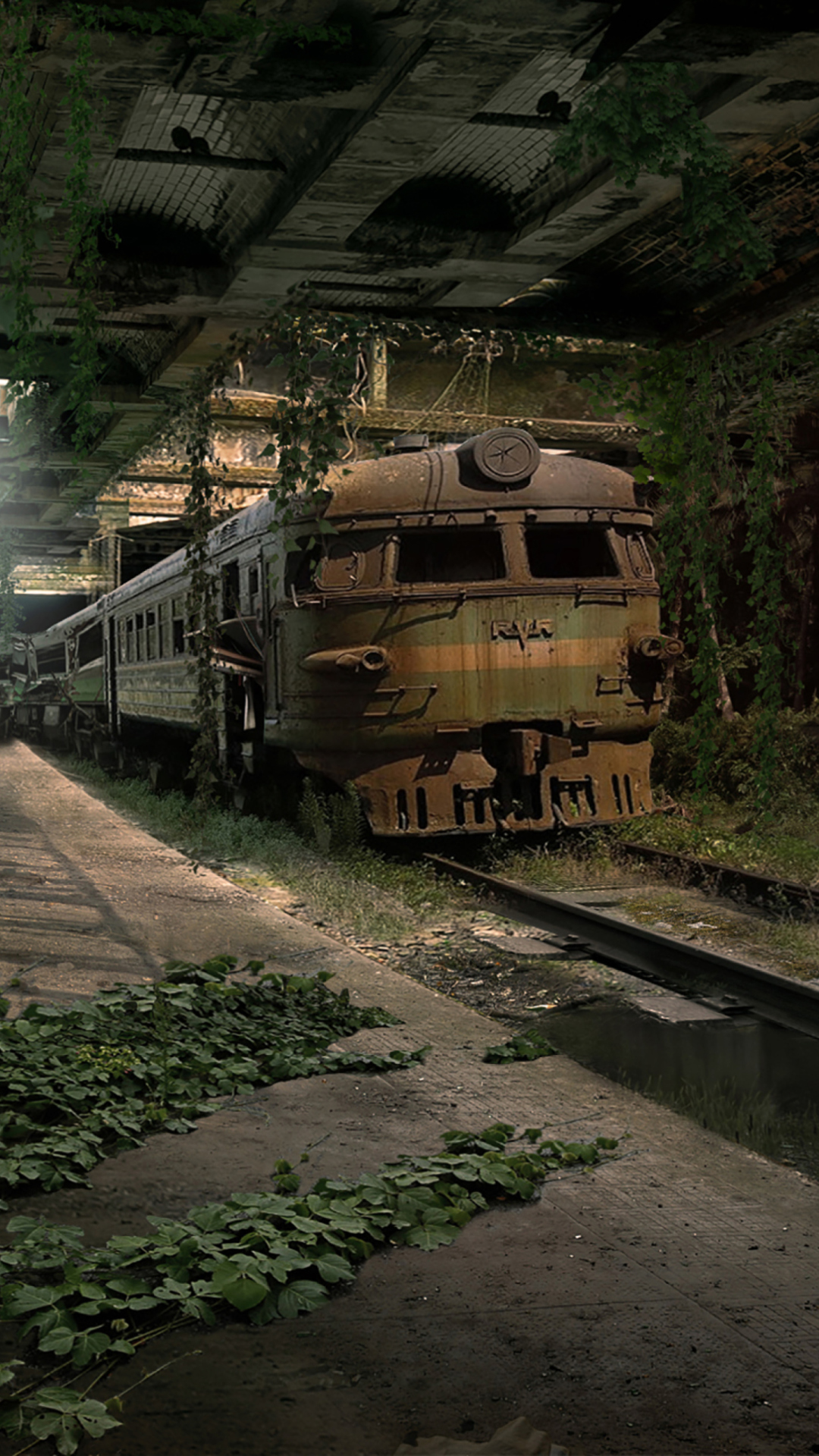 Das Abandoned Train Wallpaper 1080x1920