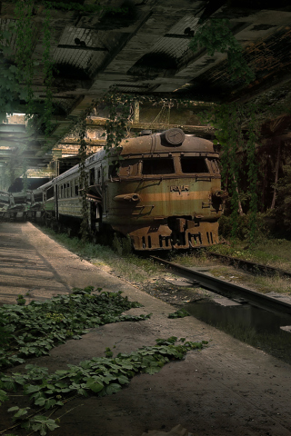 Das Abandoned Train Wallpaper 320x480