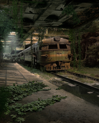 Kostenloses Abandoned Train Wallpaper für 768x1280