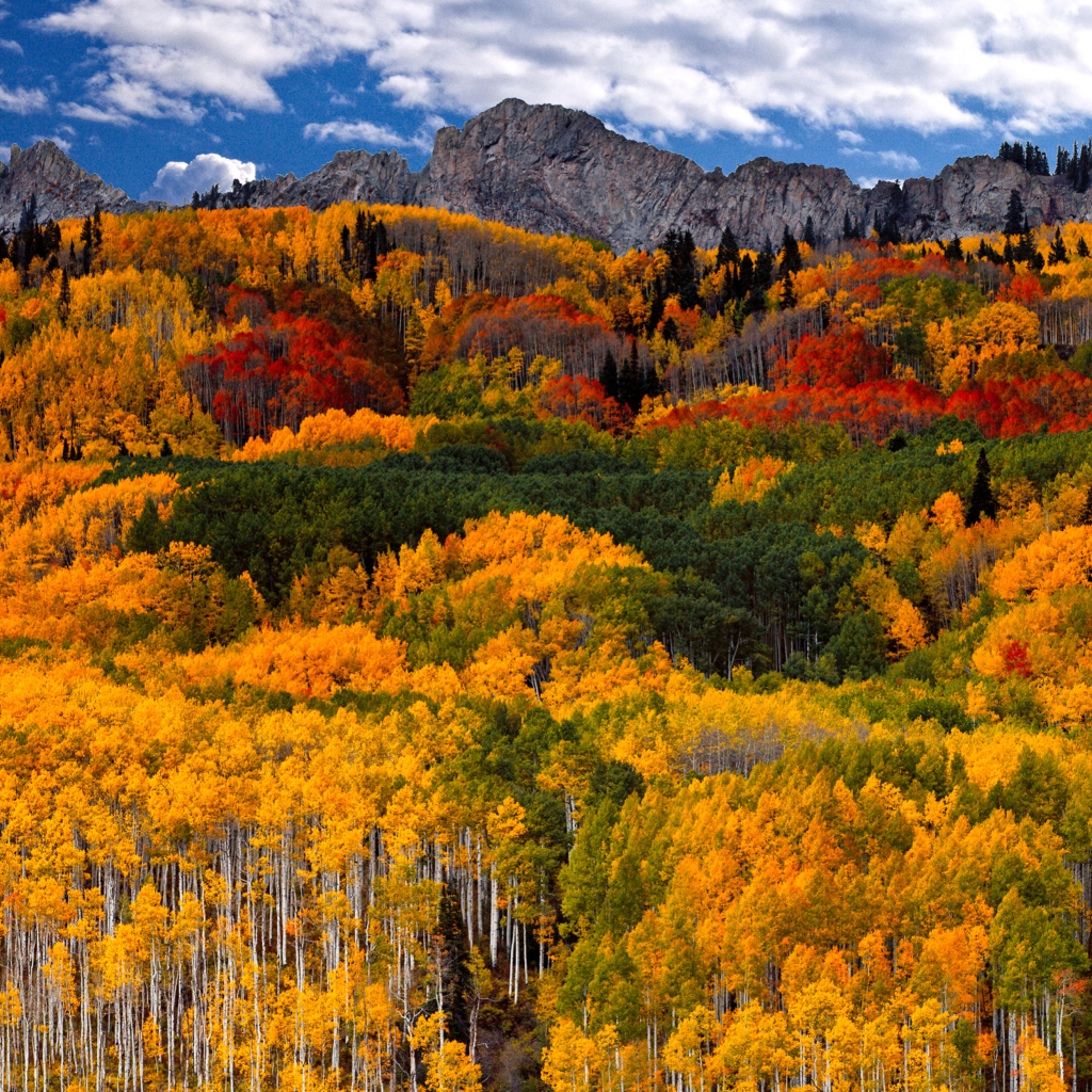 First Day of Autumn In Canada wallpaper 1024x1024