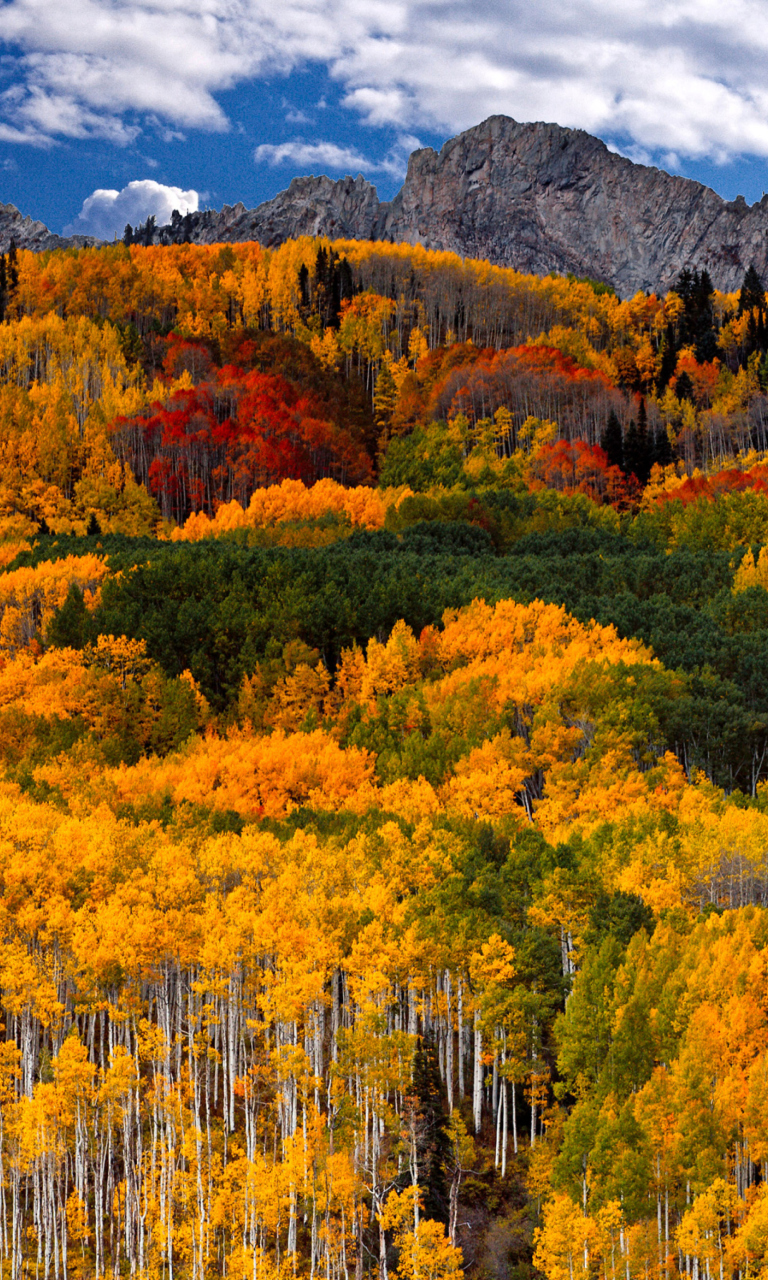 Fondo de pantalla First Day of Autumn In Canada 768x1280