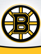 Boston Bruins Team Logo wallpaper 132x176