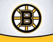 Fondo de pantalla Boston Bruins Team Logo 220x176