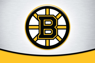 Boston Bruins Team Logo - Obrázkek zdarma pro Samsung Galaxy S6 Active