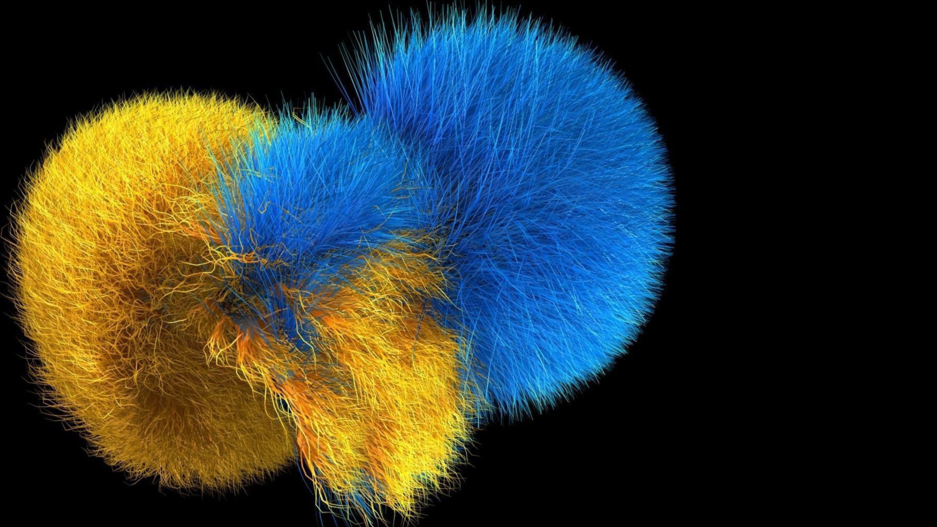 Fluffy Pom Pom wallpaper 1920x1080