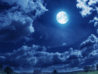Moon Light screenshot #1 320x240