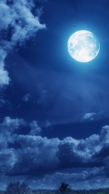 Das Moon Light Wallpaper 360x640