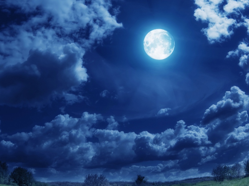 Moon Light screenshot #1 800x600