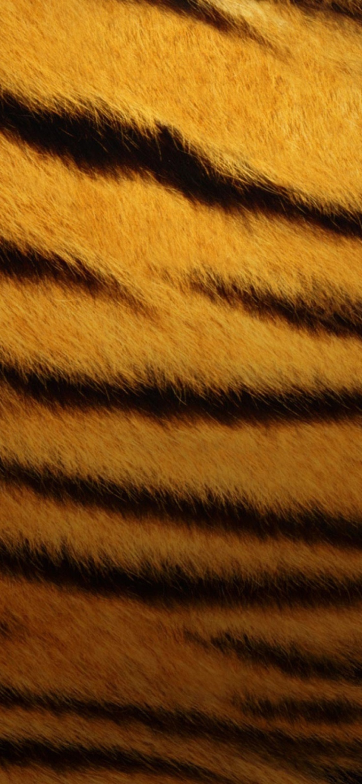 Tiger Skin wallpaper 1170x2532