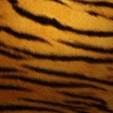 Screenshot №1 pro téma Tiger Skin 128x128