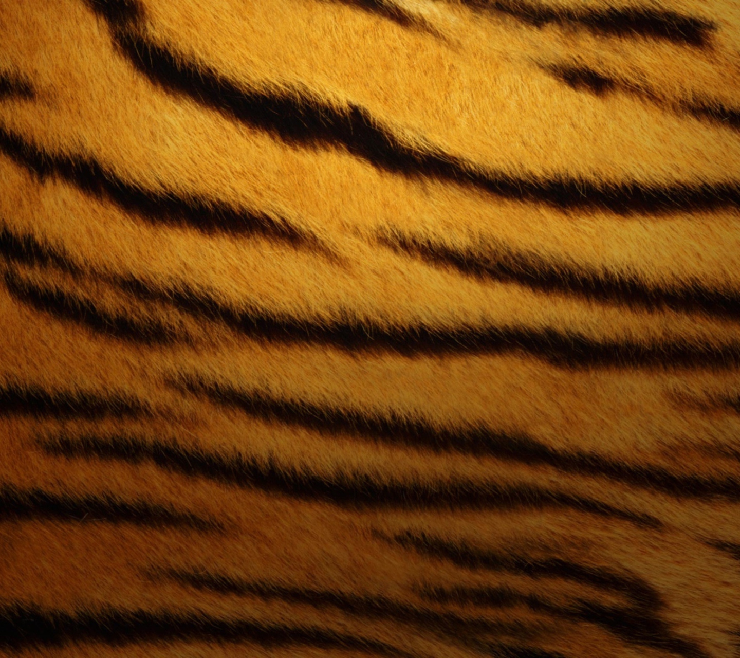 Fondo de pantalla Tiger Skin 1440x1280