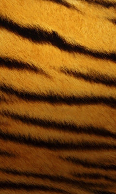 Das Tiger Skin Wallpaper 240x400