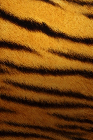 Das Tiger Skin Wallpaper 320x480