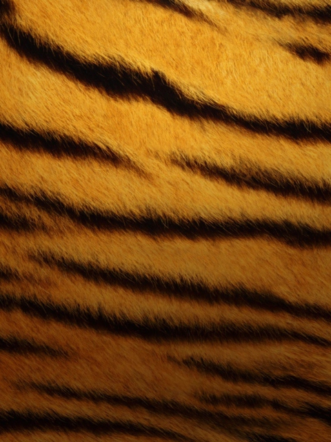 Das Tiger Skin Wallpaper 480x640