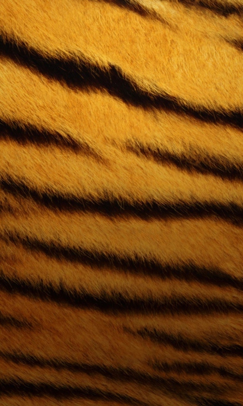 Tiger Skin wallpaper 480x800