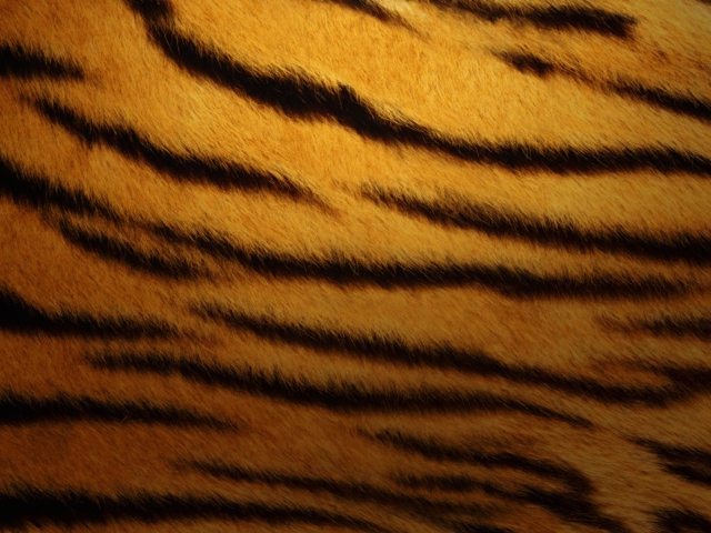 Tiger Skin wallpaper 640x480